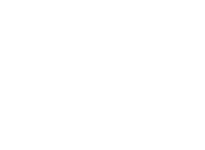 DMI main logo