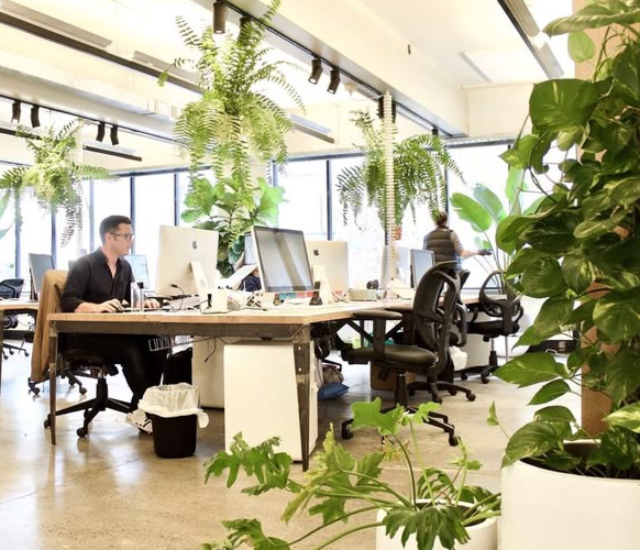 Office Fit-Out Dubai