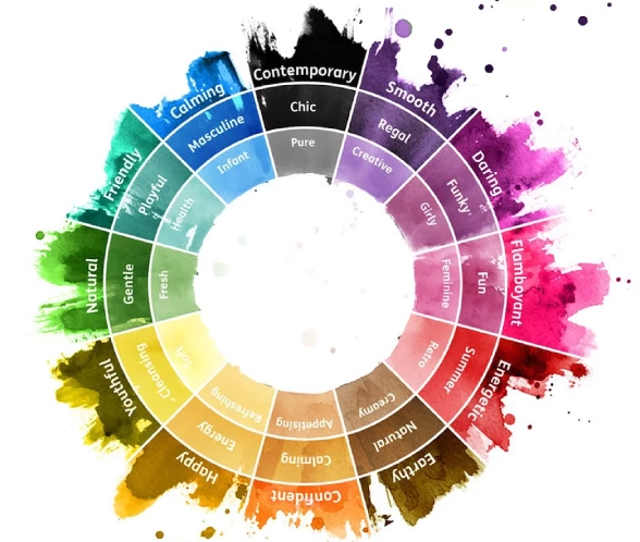 colour palette