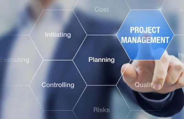 Professional Project Management